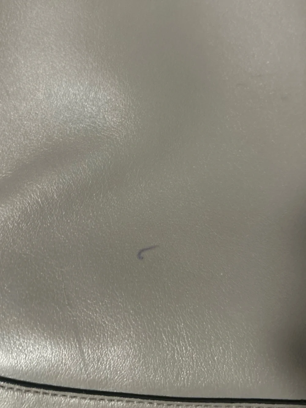 Coach Kristin Spectator Bag (Style 18303)